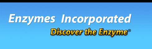 Enzymes Inc. - Environmentally Friendly Green Cleaners